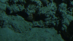 Click for image