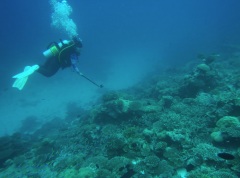 Click for image
